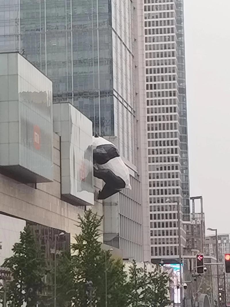 抖音网红熊猫黑料视频揭秘，真相与伦理引关注